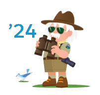 Salesforce Spring ’24 Release