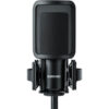 Introduction of SM4 Home Recording Microphone